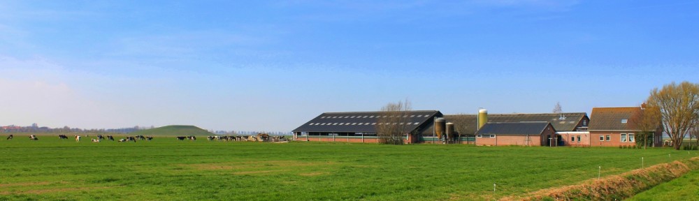 Kaasboerderij de Westplaat